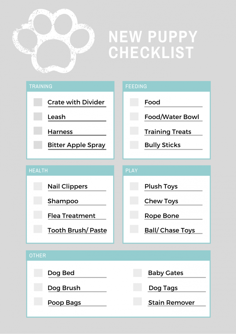 supplies for a new puppy checklist