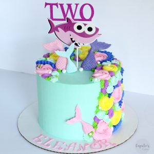 babysharkcake